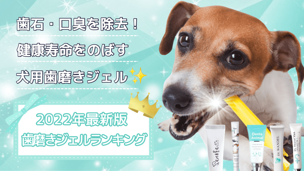 最大72%OFFクーポン犬歯磨きジェル ドクターデンタルワン30g！ラスト